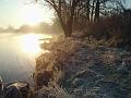 adda (14)